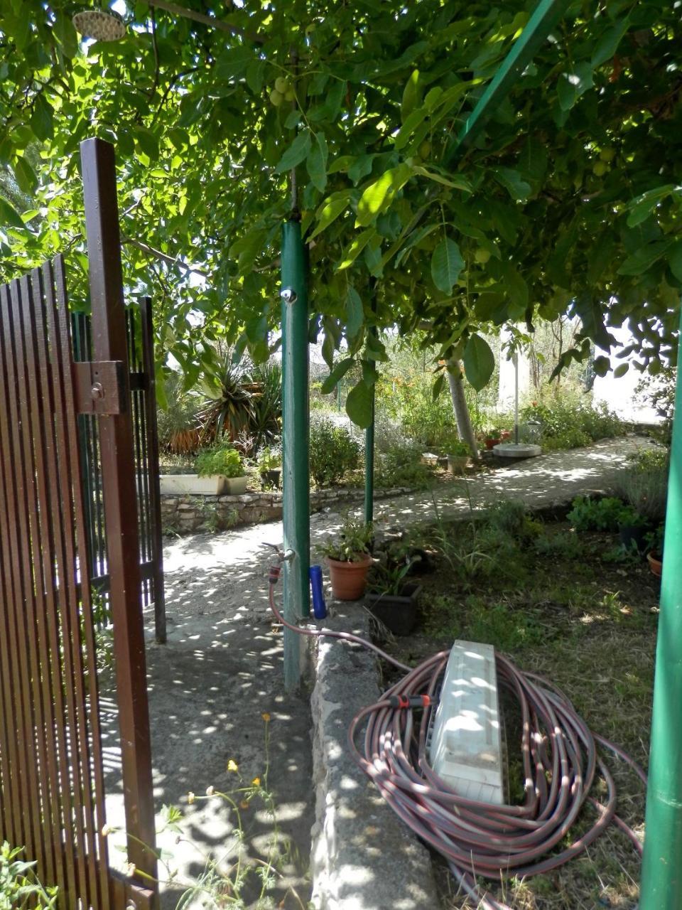 Apartments Zivana Rogoznica  Zewnętrze zdjęcie